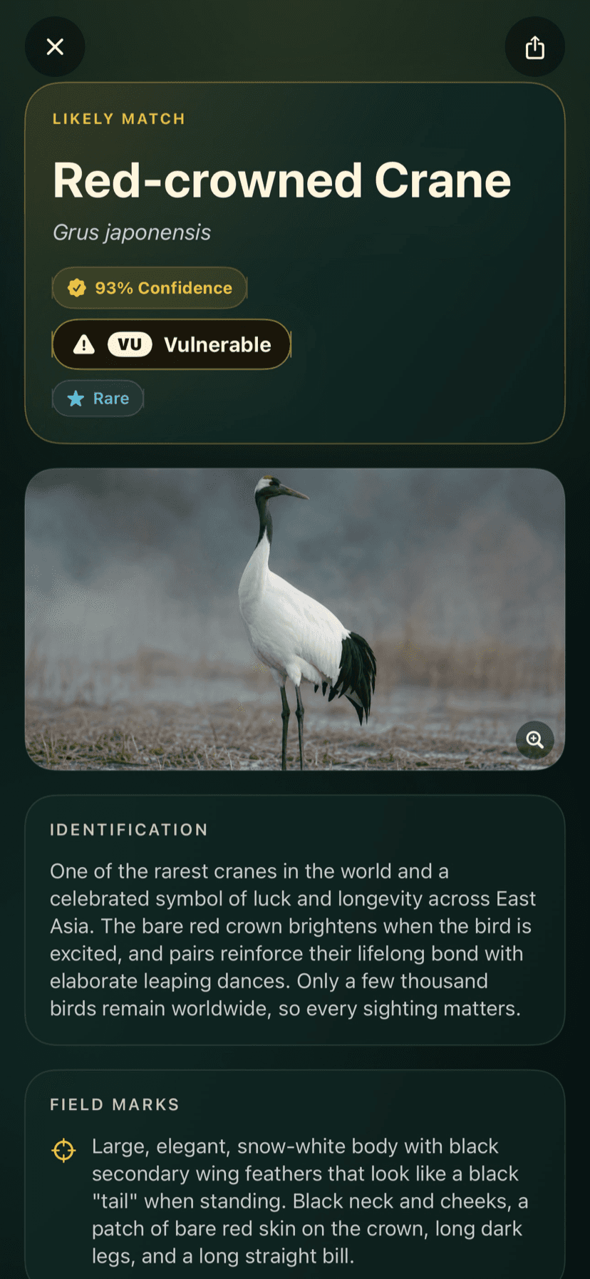 Confident species identification