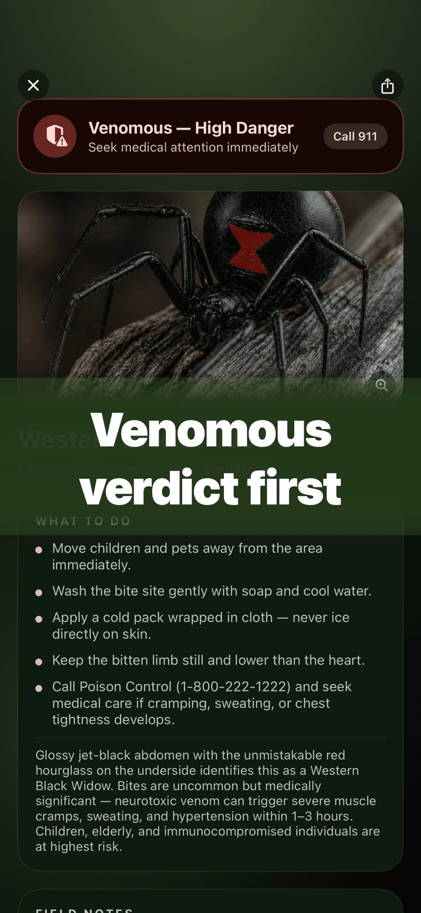 Venomous? Red badge first
