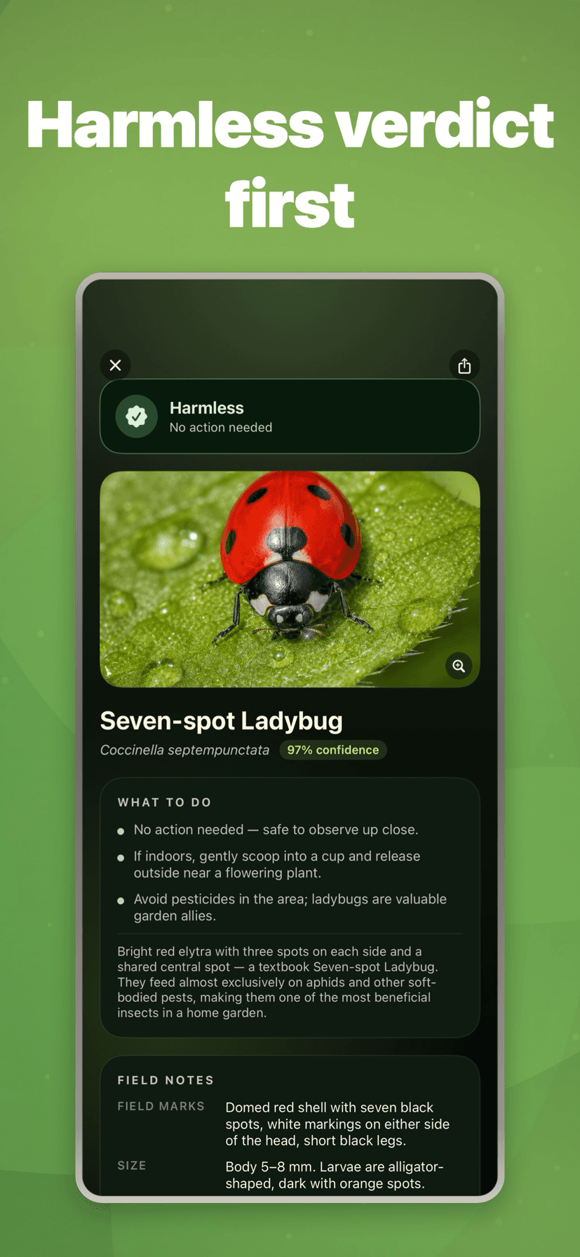 Harmless? Calm green badge