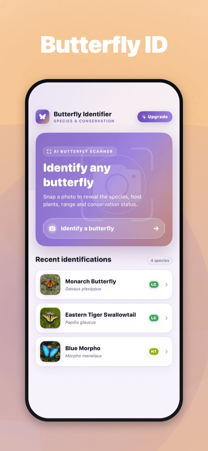 Butterfly Identifier app screenshot