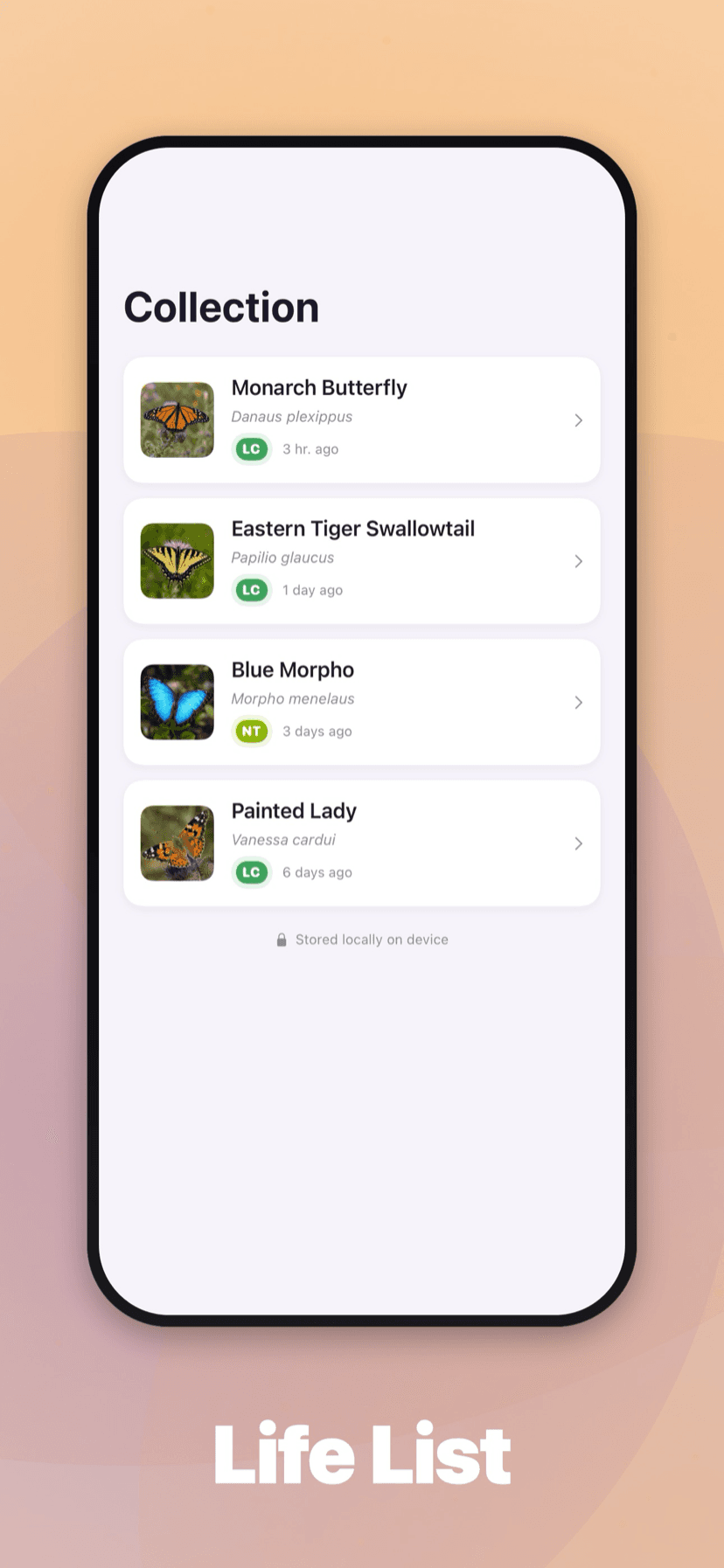 Searchable life list of every find