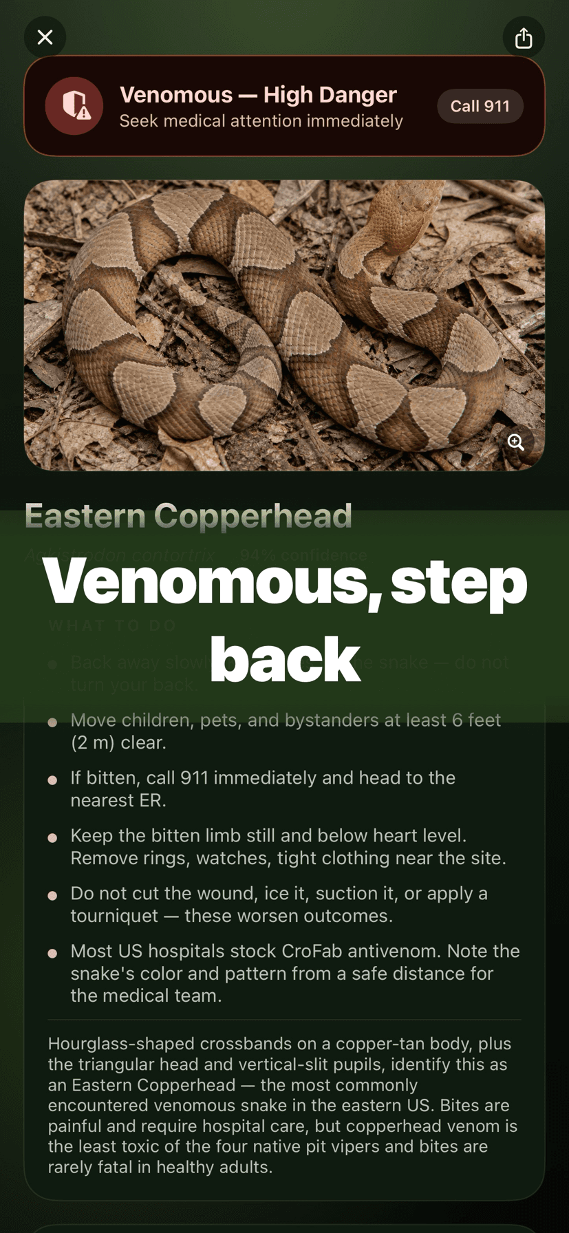 Venom verdict shown first