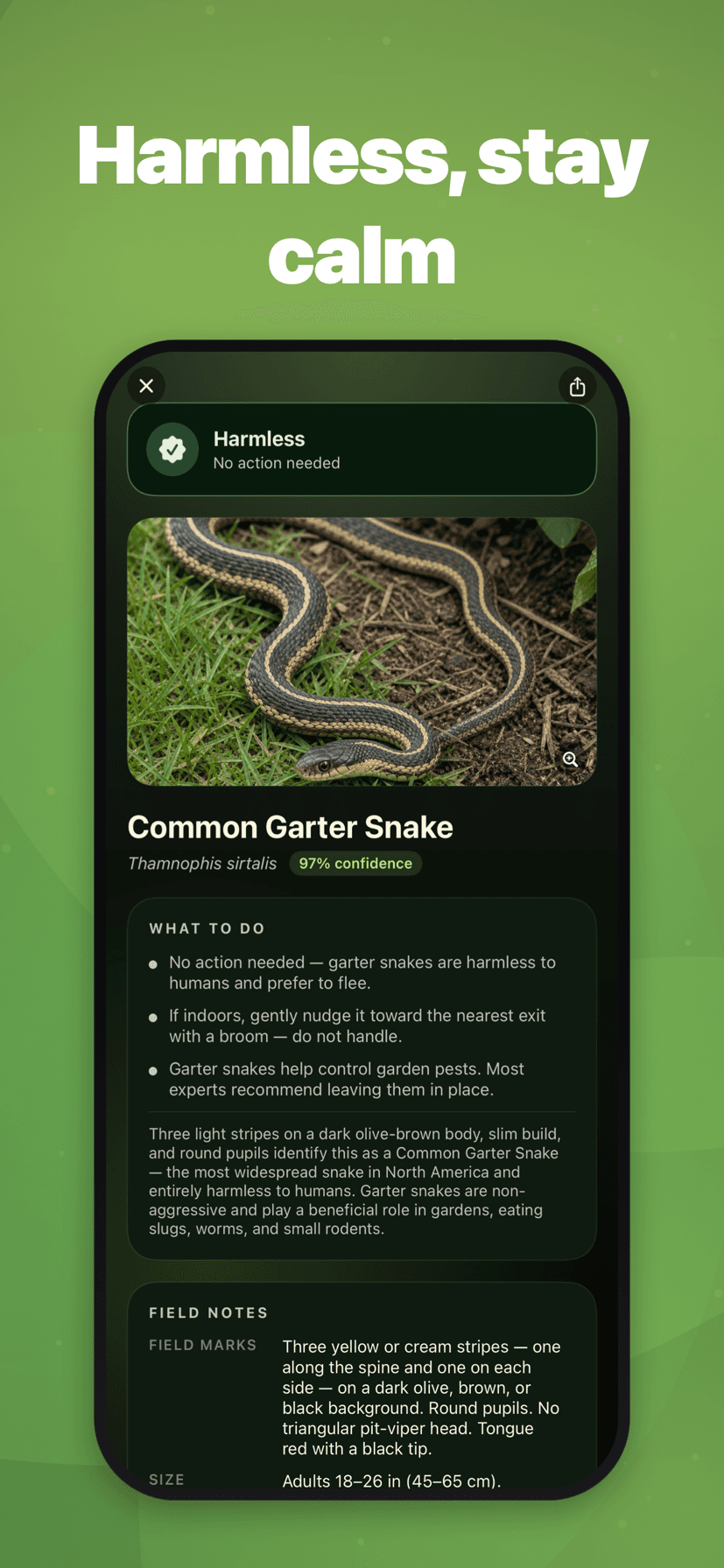 Harmless? Calm green badge